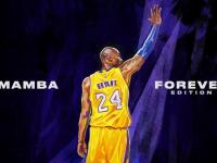 9you娱乐-此时鹈鹕的群星合唱，已在为2026年莫兰特的独奏启幕