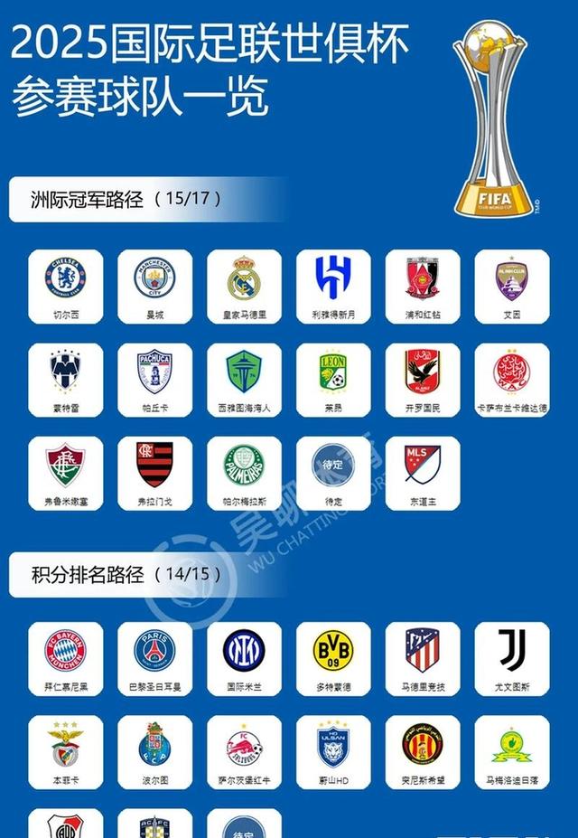 包含2025年俱乐部世界杯：博塔弗戈全队备战内幕的词条