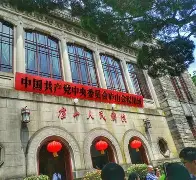 格鲁吉亚遭遇失败，需总结经验教训