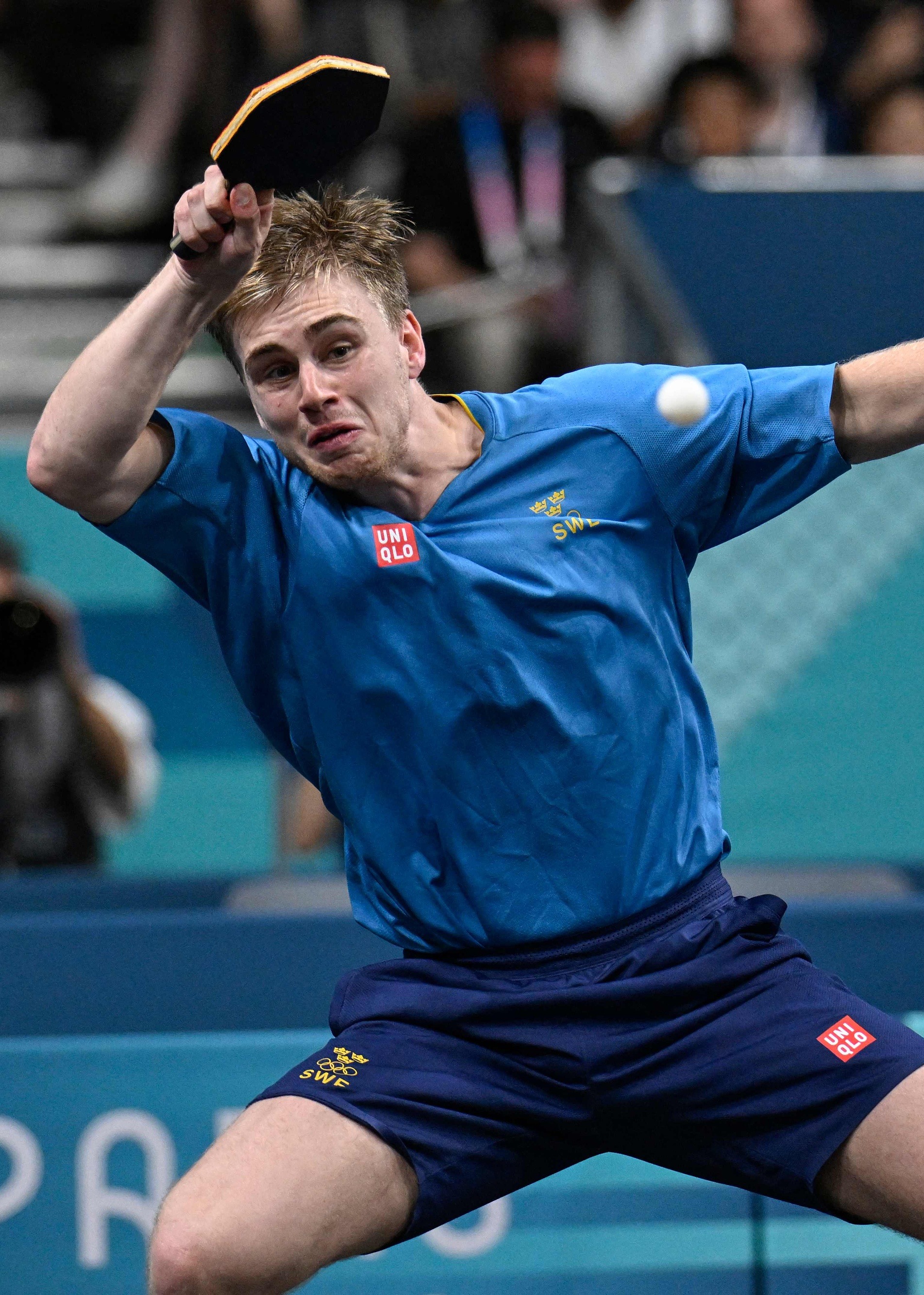 日本乒乓球队绝地反击法国乒乓球队,波尔高光表现的简单介绍 日本乒乓球队绝地反击法国乒乓球队,波尔高光表现的简单介绍