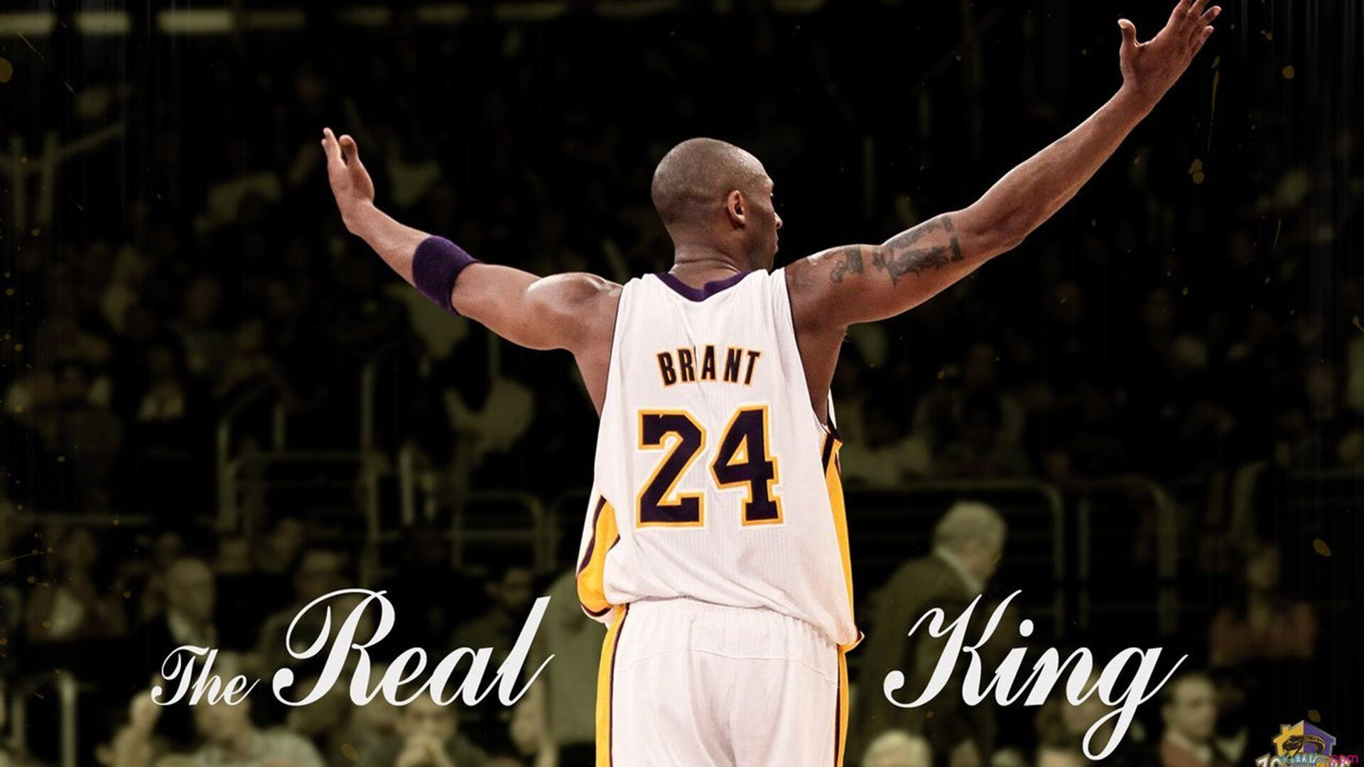 鏖战银石，阿斯顿马丁血战跃马，维斯塔潘以数字封神